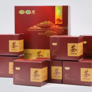 fuzhuan τσάντα τσαγιού hunan anhua μαύρο τσάι τσάι φροντίδας υγείας